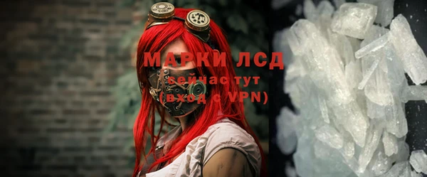 стаф Надым
