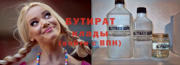 индика Михайловск