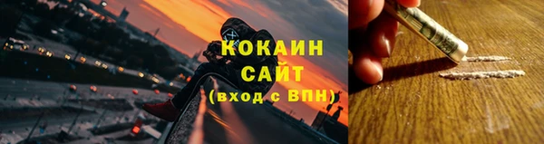 стаф Надым