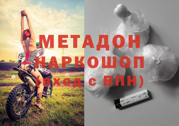 индика Михайловск