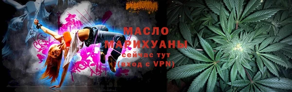 индика Михайловск