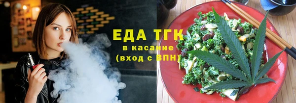 индика Михайловск