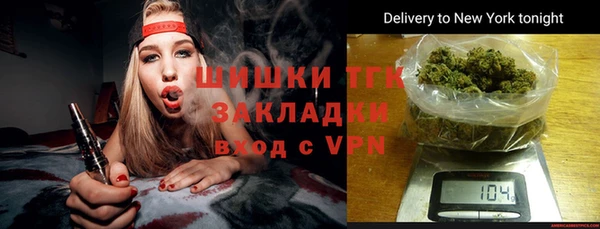 индика Михайловск