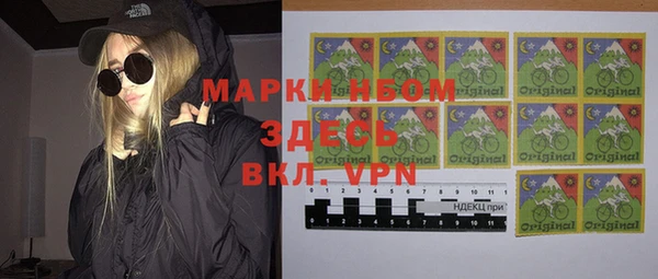 индика Михайловск