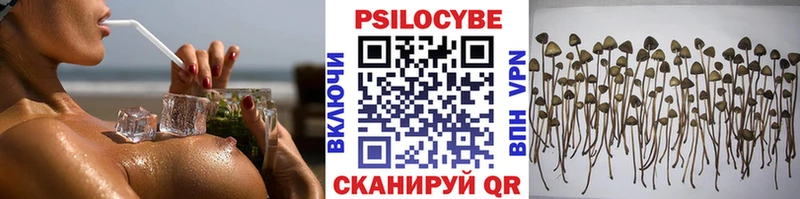 сколько стоит  Светлогорск  MEGA tor  Псилоцибиновые грибы прущие грибы 